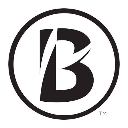 Boston Business Women Logo