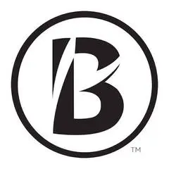 Boston Business Women Logo
